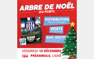 🎄ARBRE DE NOËL - SPÉCIAL ALBUM D'IMAGES🎄